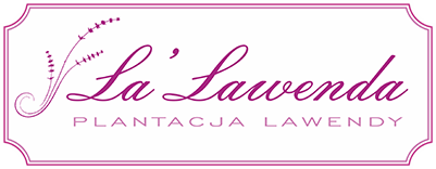 La'Lawenda - plantacja lawendy